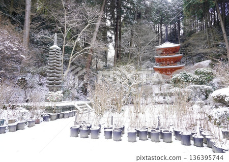 雪天的塔霍塔 136395744