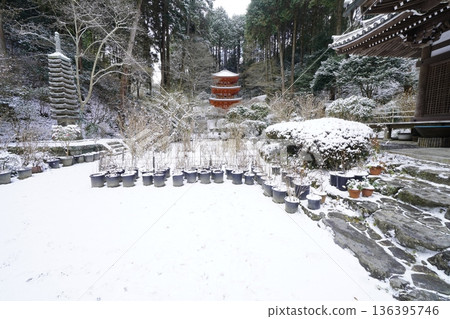 Tahoto Pagoda on a snowy day 136395746