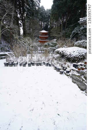 Tahoto Pagoda on a snowy day 136395747