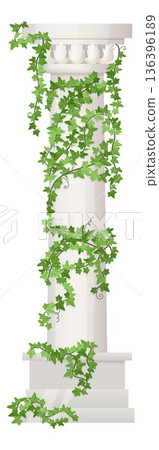 Vine climbing on stone column. Old realistic pillar 136396189