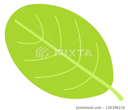 Tree leaf icon. Bio symbol. Nature sign Tree leaf icon. Bio symbol. Nature sign 136396226