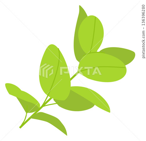 Green branch. Fresh spring plant leaves drawing 136396280