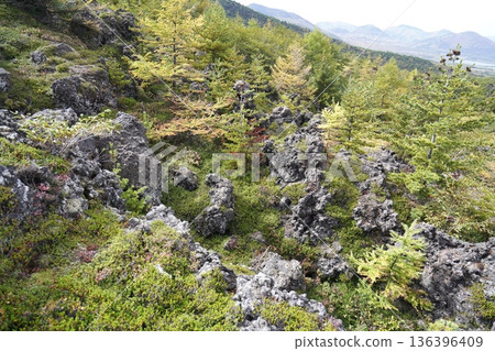 Mount Asama, Gunma Prefecture. View of the Oni no Oshidashi lava from the high ground of the Skyrock Trail. October 18, 2025. Mount Asama, Gunma Prefecture. View of the Oni no Oshidashi lava from the high ground of the Skyrock Trail. October 18, 2025. 136396409