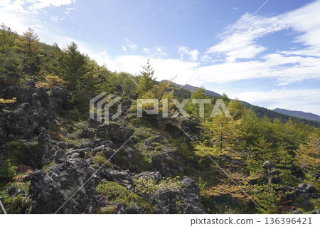 Mount Asama, Gunma Prefecture. View of the Oni no Oshidashi lava from the high ground of the Skyrock Trail. October 18, 2025. 136396421