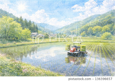 Rice planting, rice field, rice cultivation, Satoyama landscape, May, watercolor painting 136396657