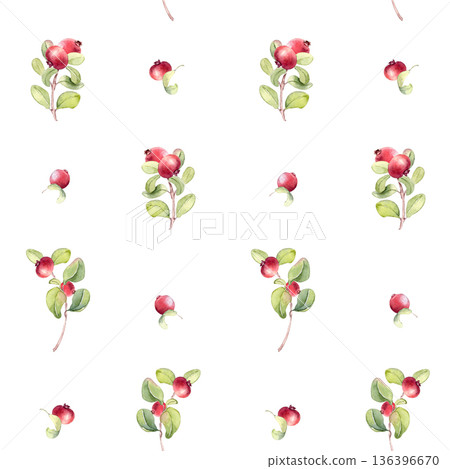 Lingonberry watercolor seamless pattern isolated on white. Hand drawn cranberry and leaf artwork for fabric, wallpaper, packaging, and greeting card design. Vibrant botanical forest berries repeat. 136396670