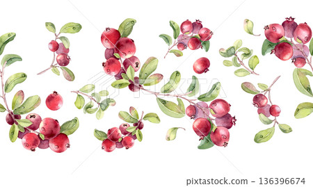 Seamless border fresh lingonberry or cranberry plants watercolor isolated on white. Branches with red berries and green leaves hand painted. Botanical drawing for food and drink design element. 136396674