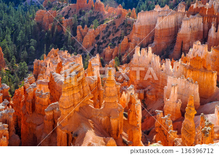 Exploration of Bryce Canyon in the USA during daylight hours 136396712