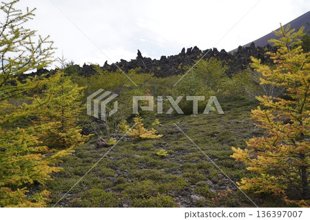 2025年10月18日,群馬縣淺間山,從天岩步道上經過吾妻火山碎屑流時所看到的景色 2025年10月18日,群馬縣淺間山,從天岩步道上經過吾妻火山碎屑流時所看到的景色 136397007