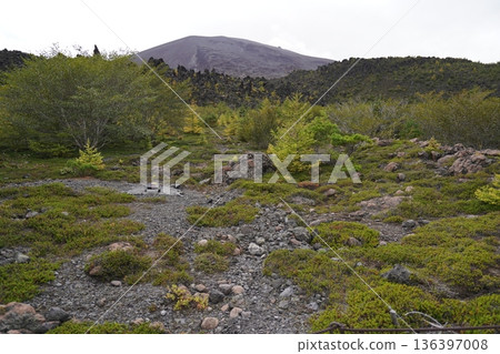 群馬縣淺間山－2025年10月18日，從天岩步道上眺望吾妻火山碎屑流，淺間山巍峨聳立於背景之中。 136397008