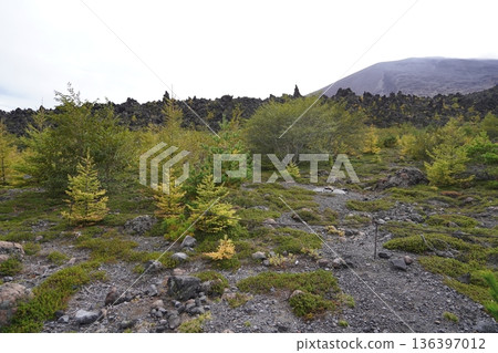 群馬縣淺間山-2025年10月18日,從天岩步道上眺望吾妻火山碎屑流,淺間山巍峨聳立於背景之中。 群馬縣淺間山-2025年10月18日,從天岩步道上眺望吾妻火山碎屑流,淺間山巍峨聳立於背景之中。 136397012