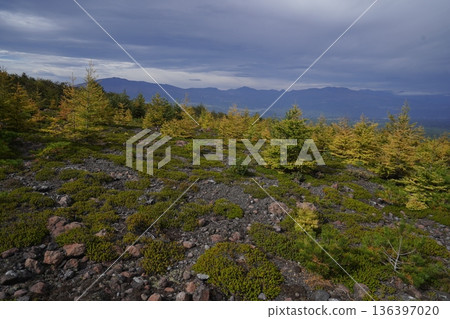 Mount Asama, Gunma Prefecture, view from the Skyrock Trail while passing over the Azuma pyroclastic flow, October 18, 2025 136397020