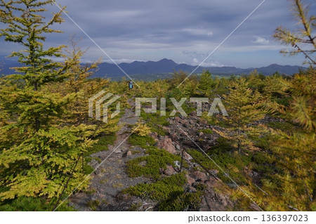 2025年10月18日，群馬縣淺間山，從天岩步道上經過吾妻火山碎屑流時所看到的景色 136397023