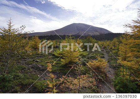 群馬縣淺間山-2025年10月18日,從天岩步道上眺望吾妻火山碎屑流,淺間山巍峨聳立於背景之中。 群馬縣淺間山-2025年10月18日,從天岩步道上眺望吾妻火山碎屑流,淺間山巍峨聳立於背景之中。 136397030