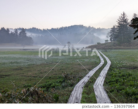 Oe Marsh and boardwalk in the morning 136397064