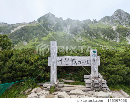 千疊敷捲曲 136397068