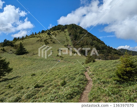 在藍天下,從石丸峠到熊澤山的健行路線 在藍天下,從石丸峠到熊澤山的健行路線 136397070