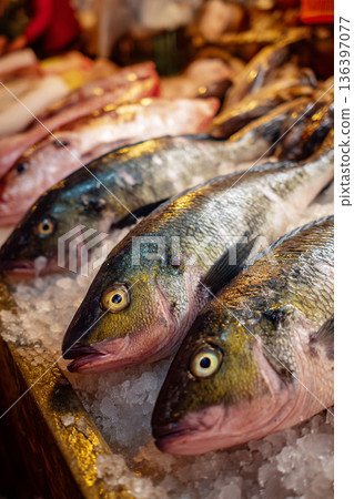 A close-up of freshly caught Malawian Chambo fish, glistening on ice at a bustling lakeside market, emphasizing local cuisine. A close-up of freshly caught Malawian Chambo fish, glistening on ice at a bustling lakeside market, emphasizing local cuisine. 136397077