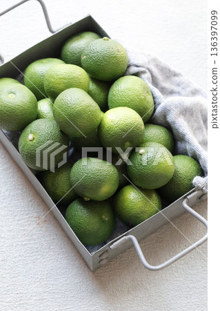 Harvested Hebes 136397099