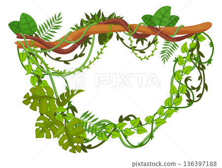 Hanging green creeper from jungle tree branch frame 136397188
