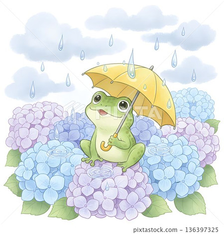一隻青蛙撐著傘站在繡球花上。畫面展現了雨季和六月的景象。 136397325