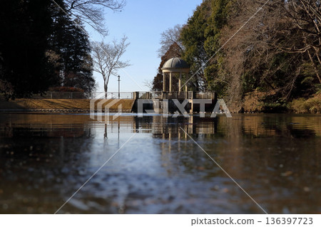 浪漫的茨城（寒冷的清晨，池塘邊矗立著一座亭子，頗具英倫風情。）水戶市七津堂公園 136397723