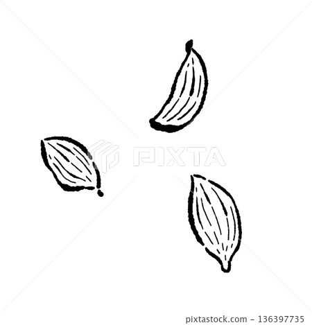 荳蔻莢和種子的單色素描 136397735