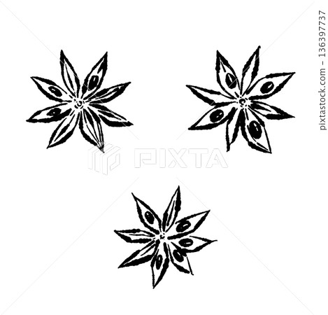 八角茴香（八角）的單色素描，展現其獨特的星形。 136397737