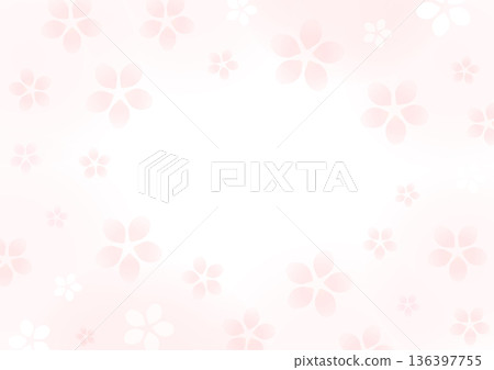 美麗的櫻花相框，粉紅色 136397755