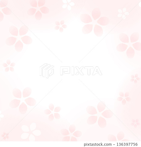 精美的櫻花相框、方形橫幅和社交媒體發布素材 136397756