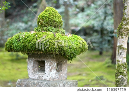 A quaint stone lantern covered in thick moss A quaint stone lantern covered in thick moss 136397759