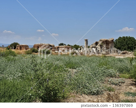 Ancient Ephesus, ruins in Turkey, ruins of the Ancient Roman and Ancient Greek empires, Selcuk, Izmir province Ancient Ephesus, ruins in Turkey, ruins of the Ancient Roman and Ancient Greek empires, Selcuk, Izmir province 136397869