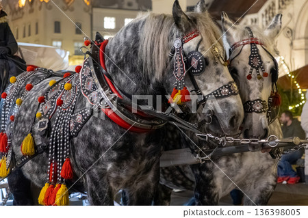 Dappled grey horses in ornate traditional harnesses adorned with vibrant red and yellow tassels, embodying historical charm for festive urban tourism 136398005