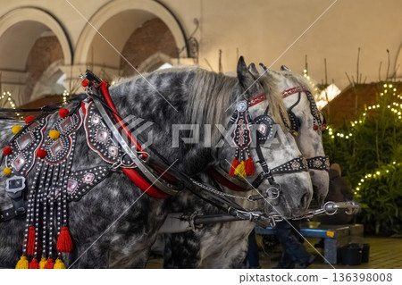 Dappled grey carriage horses adorned with ornate traditional harnesses, patiently waiting in a festive historical city setting, representing heritage and cultural tourism 136398008