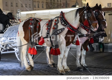 Two decorative horses harnessed to a white carriage at night, offering traditional city transport for tourists, showcasing elegance and historical charm 136398009