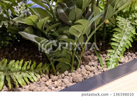 Lush artificial green plants, featuring broad leaves and ferns, potted in decorative light brown gravel, enhancing modern interior design and a calming atmosphere Lush artificial green plants, featuring broad leaves and ferns, potted in decorative light brown gravel, enhancing modern interior design and a calming atmosphere 136398010