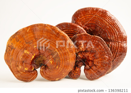 Lingzhi or Reishi mushroom isolated on white background with clipping path. 136398211