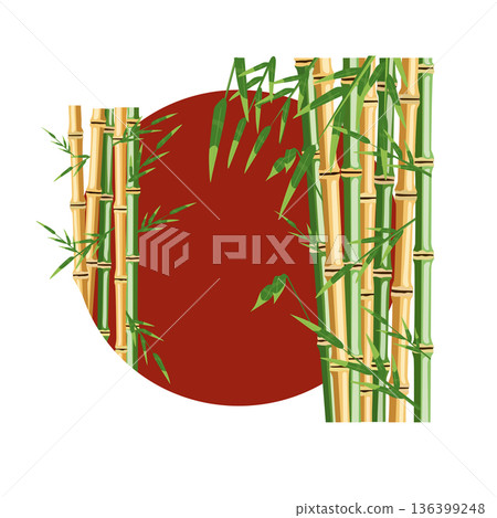 Bamboo trees with leaf. Color vector flat cartoon illustration 136399248