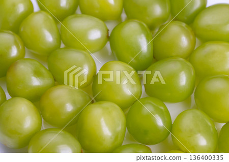 Closeup of shiny green grapes, Vivid cluster of glossy green grapes under gentle lighting, Detailed view of luminous green grape bunch with lively colors Closeup of shiny green grapes, Vivid cluster of glossy green grapes under gentle lighting, Detailed view of luminous green grape bunch with lively colors 136400335