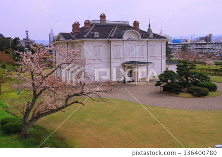 Cherry blossoms in full bloom at Jinpukaku, Tottori Castle Ruins (Hisamatsuyama Park) 136400780