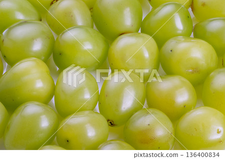 Colorful portrayal of luscious grapes suitable for beverages and desserts, Vibrant presentation of plump grapes emphasizing freshness perfect for juicing and culinary inspiration Colorful portrayal of luscious grapes suitable for beverages and desserts, Vibrant presentation of plump grapes emphasizing freshness perfect for juicing and culinary inspiration 136400834