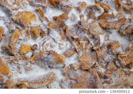 Closeup chanterelle mushrooms in sour cream, earthy orange caps submerged in frothy dairy, tactile surface detail, food stylist prepping ingredients, seasoning specks 136400912