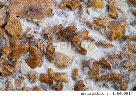 Golden chanterelle mushrooms in sour cream, cozy farmhouse comfort, creamy sauce clinging to tender caps, warm natural light, wooden spoon suggested, hearty home cooked vibe 136400914