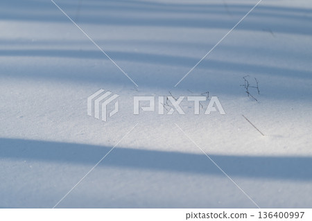 Calm icy scene with shadows, Serene snowfield with cold shadows and light effects, Tranquil snowy landscape featuring expansive blue shadows and gentle winter sunlight Calm icy scene with shadows, Serene snowfield with cold shadows and light effects, Tranquil snowy landscape featuring expansive blue shadows and gentle winter sunlight 136400997