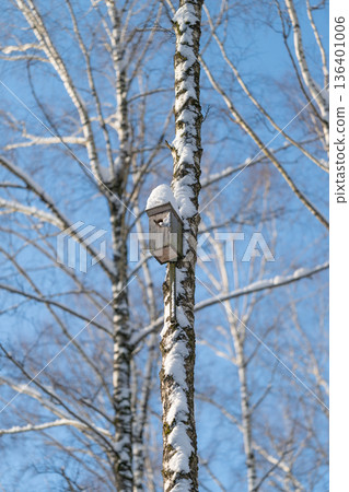 Snow falls on birch and bird refuge, Wildlife shelter on snowy birch under bright azure sky, Bird feeding station set amidst snowladen birch trees under clear blue sky 136401006