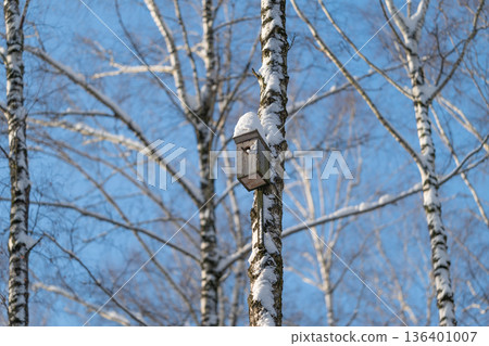 Snowcapped nest box attached to birch, rustic wooden texture, bright blue sky, seasonal garden maintenance story, volunteer habitat care suggestion, peaceful winter light 136401007
