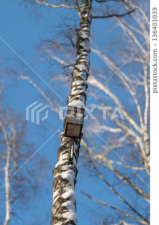 Birdhouse on slender birch under vibrant blue sky mood, Serene outdoor scene featuring perched birdhouse against expansive bright sky backdrop with hopeful atmosphere Birdhouse on slender birch under vibrant blue sky mood, Serene outdoor scene featuring perched birdhouse against expansive bright sky backdrop with hopeful atmosphere 136401039