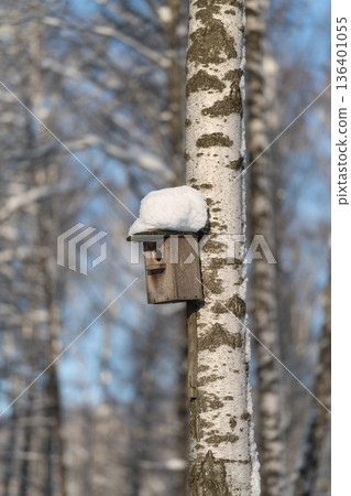 Detailed nature shot, Intimate shot capturing fine wood grains and nearby snow, Closeup of textured bark and nestbox with snow rim emphasizing intricate natural details Detailed nature shot, Intimate shot capturing fine wood grains and nearby snow, Closeup of textured bark and nestbox with snow rim emphasizing intricate natural details 136401055