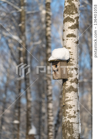Snowtopped wooden birdhouse on birch, weathered wood texture, soft bokeh background of slender trunks, nostalgic countryside feeling, wildlife habitat symbol, cottagecore charm Snowtopped wooden birdhouse on birch, weathered wood texture, soft bokeh background of slender trunks, nostalgic countryside feeling, wildlife habitat symbol, cottagecore charm 136401058
