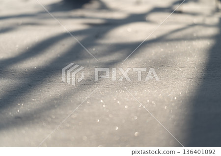Glittering snowfall with stretched tree outlines in winter scenery, Radiant snow sparkling under elongated tree shadows creating dramatic seasonal visual display 136401092